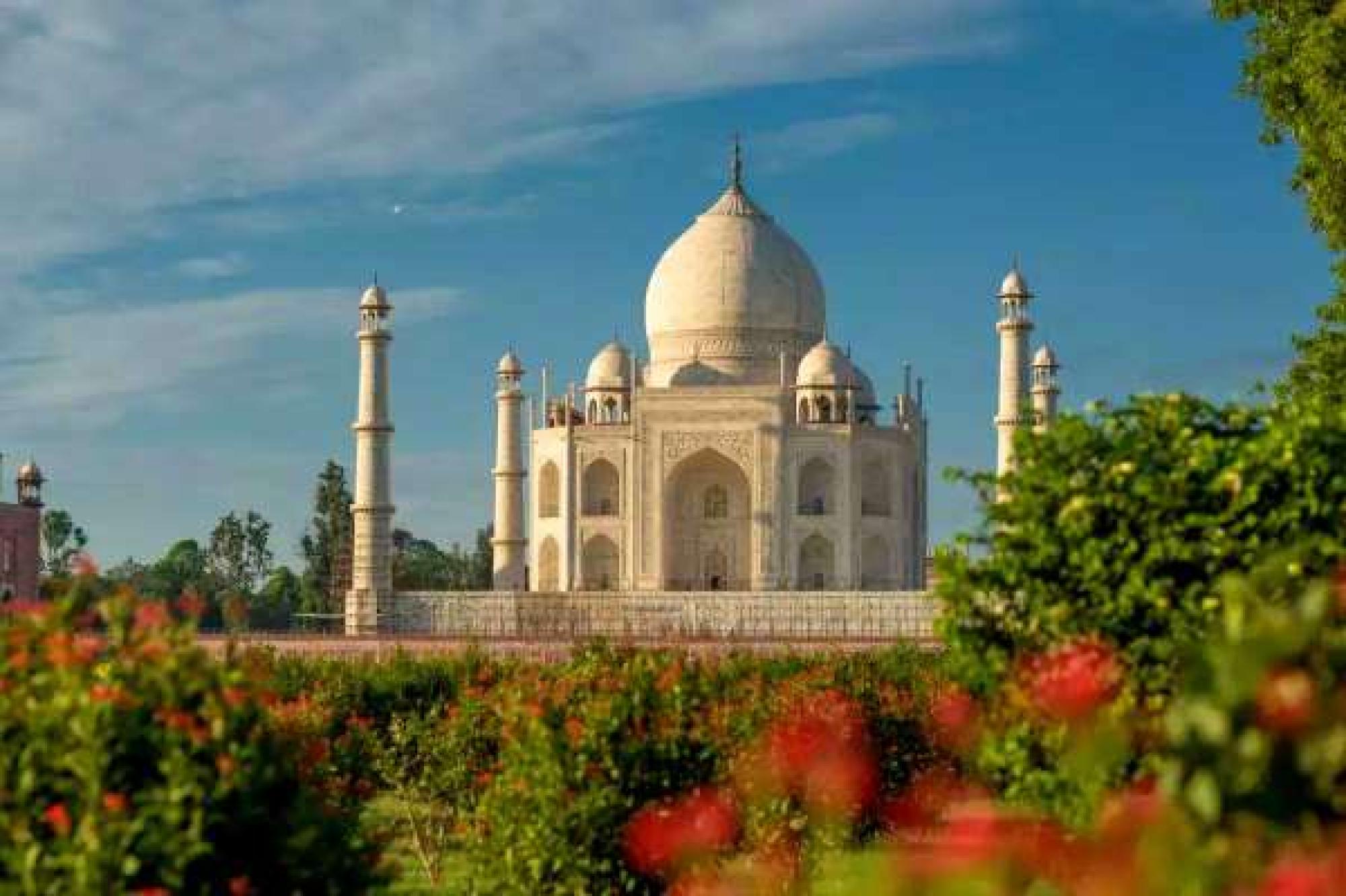 Rajasthan With Taj Mahal and Wildlife Tour